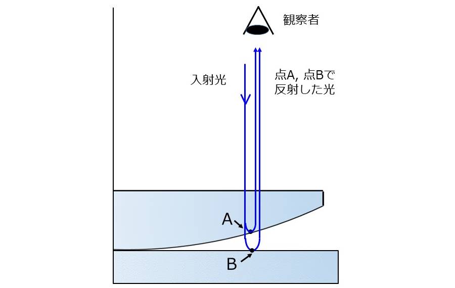 ニュートンリングの反射部分の拡大図